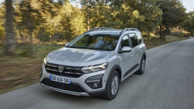 Dacia Jogger silber fährt an Bäumen vorbei
