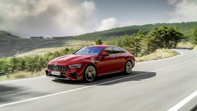 Ein roter Mercedes-AMG GT Viertürer fährt auf einer Landstraße mit einem Wald im Hintergrund.