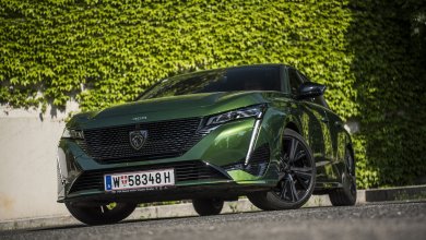 Ein grüner Peugeot 308 steht vor einer Wand mit Kletterpflanzen