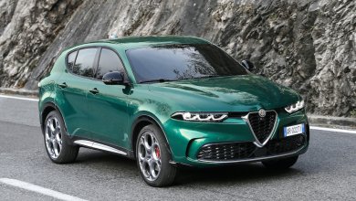 Ein grüner Alfa Romeo Tonale fährt an einer Felswand vorbei