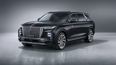 Ein schwarzer Hongqi E-HS9