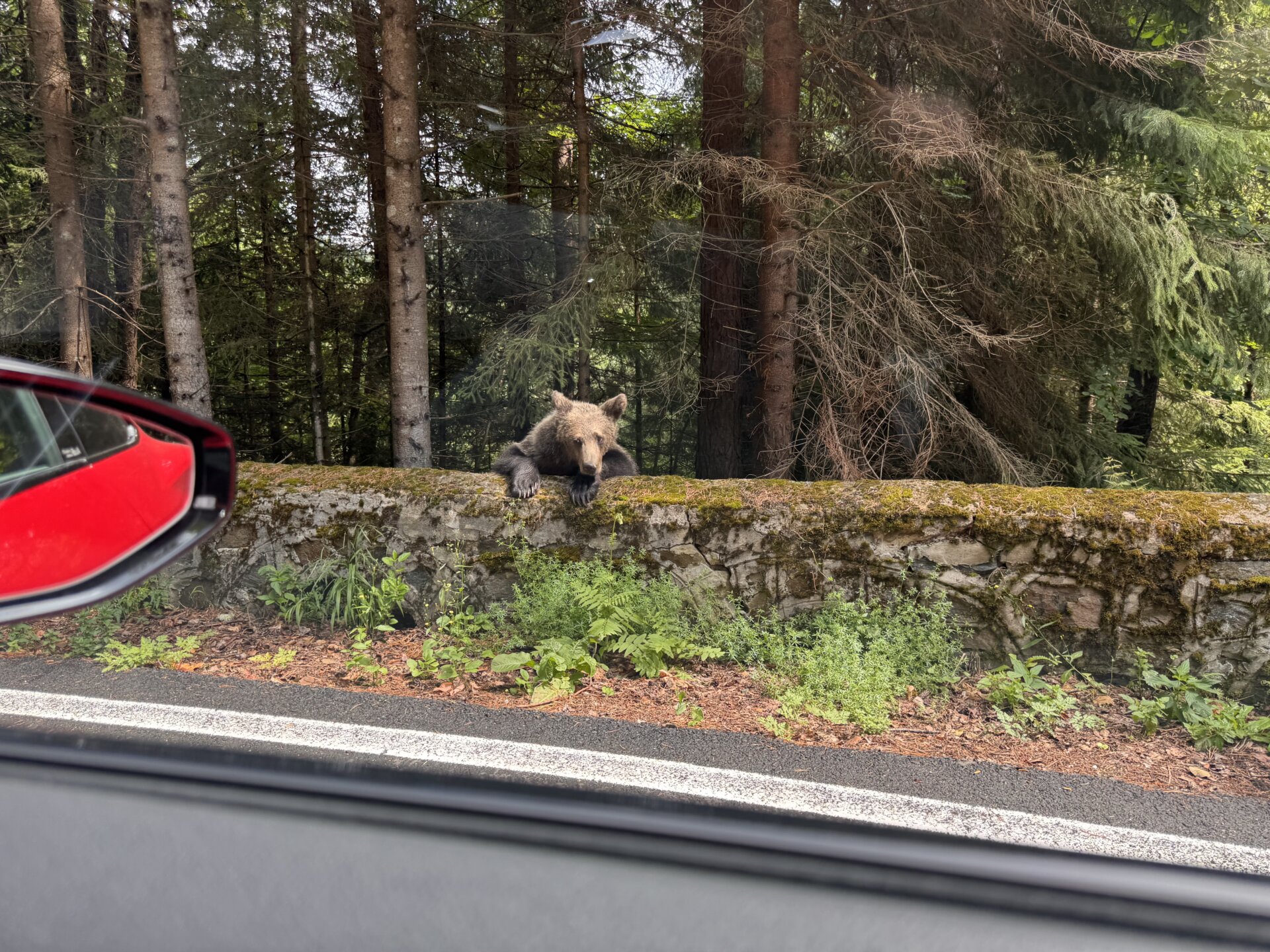 Audi e-tron GT auf der Transfăgărășan