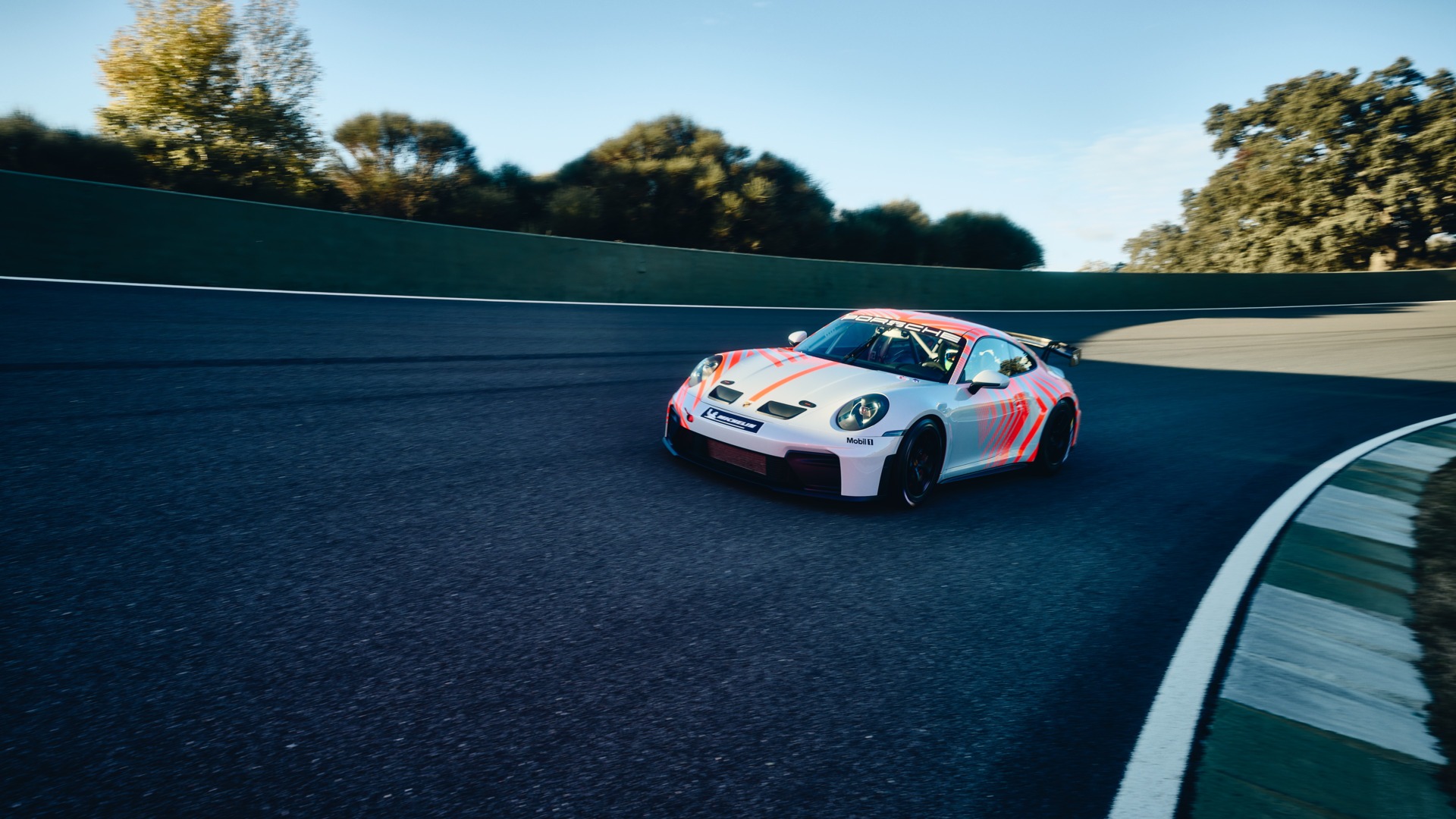 Porsche 911 Challenge mit Rennsport-Sicherheitsausstattung