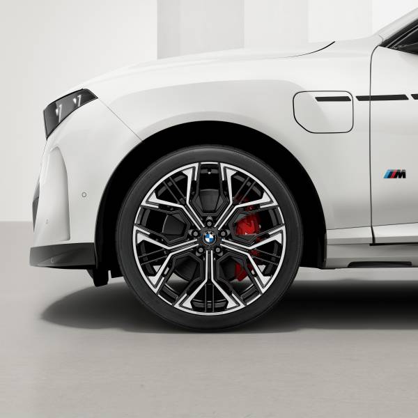 BMW X5 M Performance Leichtmetallrad Y-Speiche 1110 M, 23 Zoll